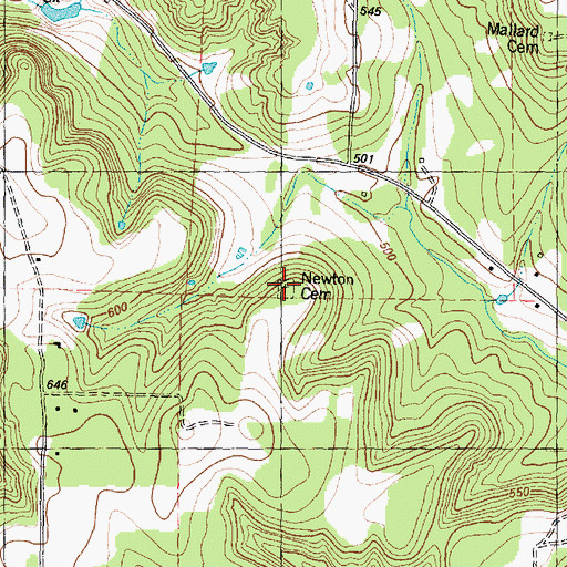 Topographic Map of Newton Cemetery, TX
