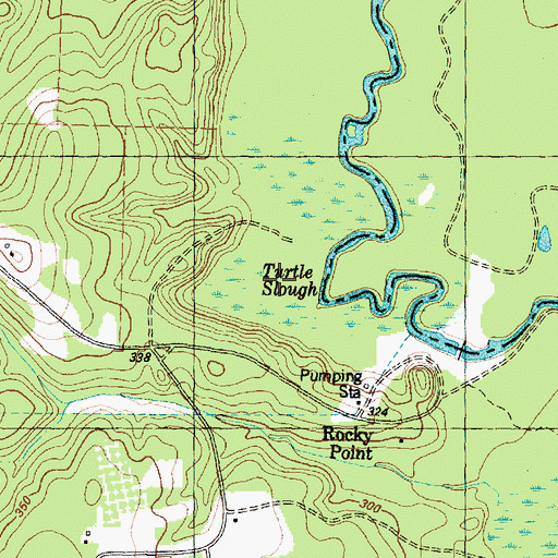 Topographic Map of Turtle Slough, TX