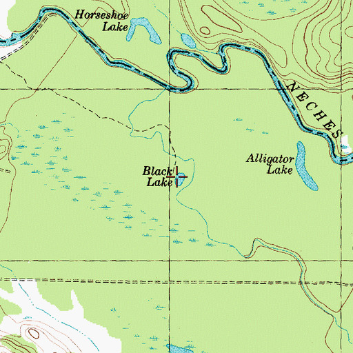 Topographic Map of Black Lake, TX
