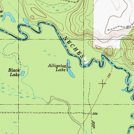 Topographic Map of Alligator Lake, TX