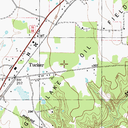Topographic Map of Long Lake Oil Field, TX