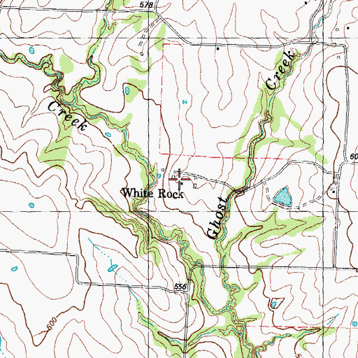 Topographic Map of White Rock, TX