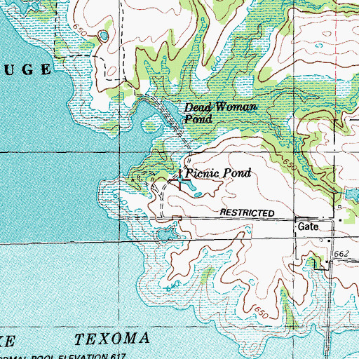 Topographic Map of Picnic Pond, TX