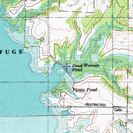 Topographic Map of Dead Woman Pond, TX