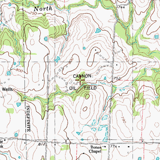 Topographic Map of Cannon Oil Field, TX