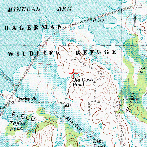 Topographic Map of Old Goose Pond, TX