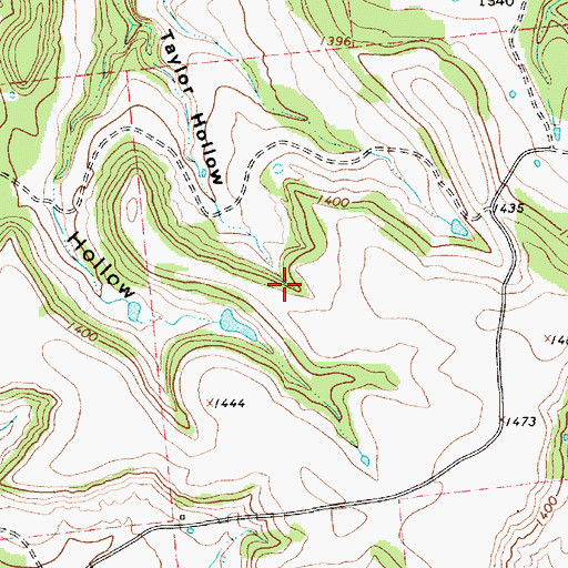 Topographic Map of Taylor Hollow, TX