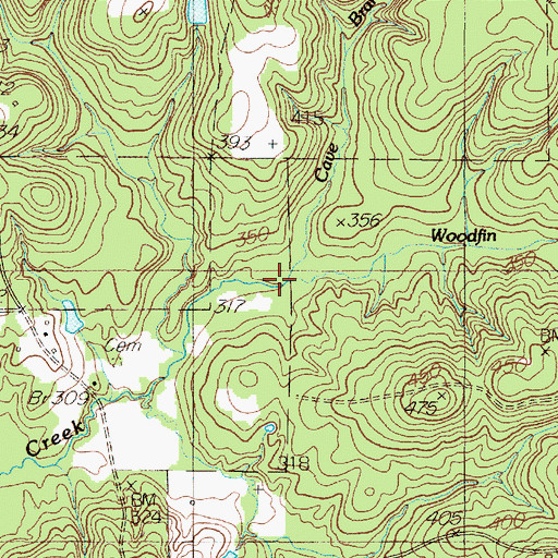 Topographic Map of Cave Branch, TX