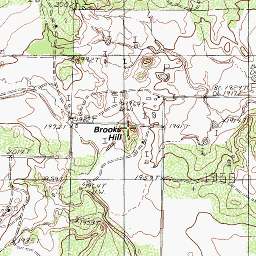 Topographic Map of Brooks Hill, TX
