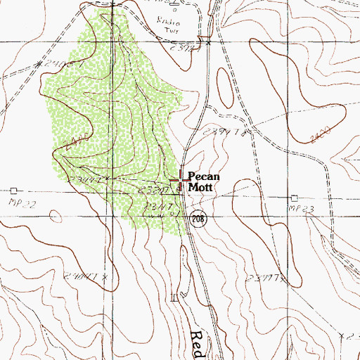 Topographic Map of Pecan Mott, TX