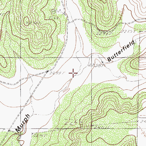 Topographic Map of Butterfield Draw, TX