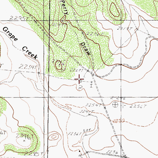 Topographic Map of Perry Draw, TX
