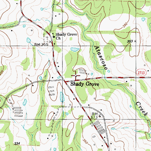 Topographic Map of Shady Grove, TX