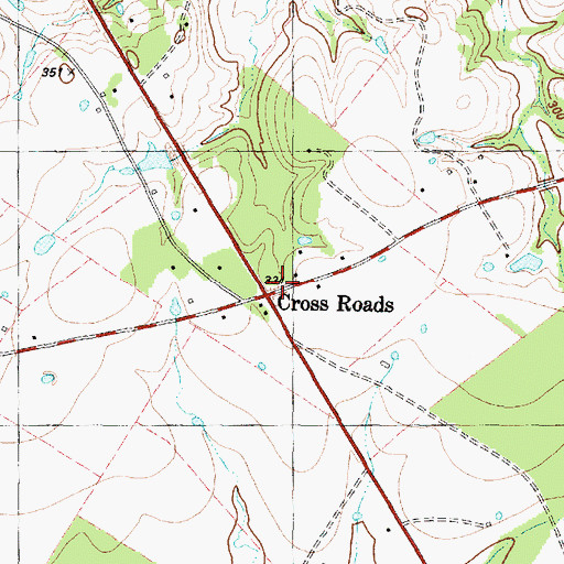 Topographic Map of Cross Roads, TX