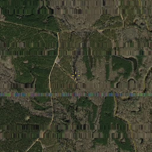 Aerial/Satellite Image of Grassy Lake, TX