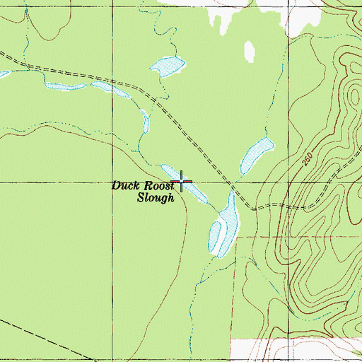 Topographic Map of Duck Roost Slough, TX
