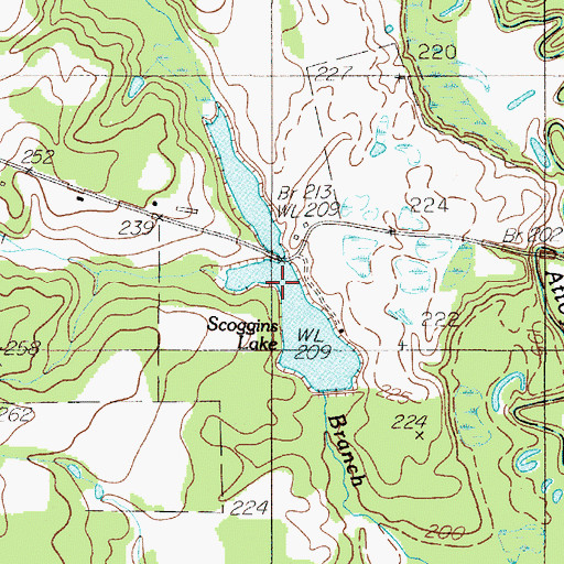 Topographic Map of Scoggins Lake, TX