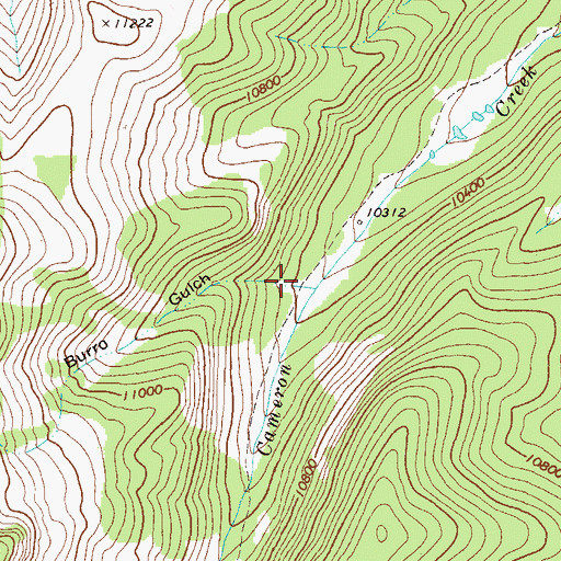 Topographic Map of Burro Gulch, CO