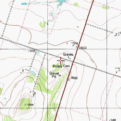 Topographic Map of Priddy Cemetery, TX