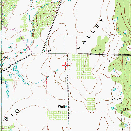 Topographic Map of Blue Bluff, TX