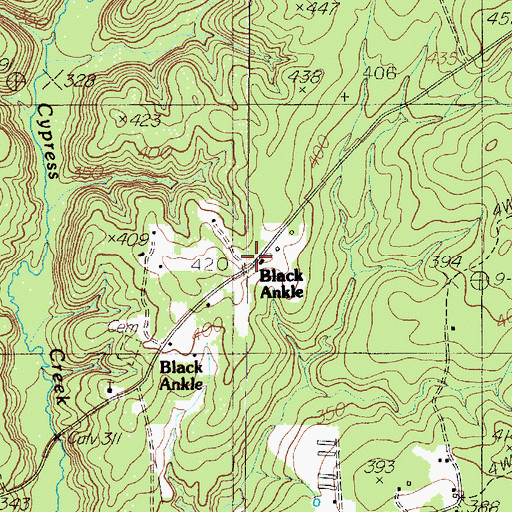 Topographic Map of Black Ankle Church, TX
