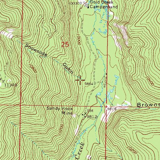 Topographic Map of Snowslide Gulch, CO