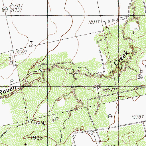 Topographic Map of South Fork, TX