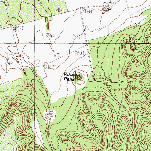 Topographic Map of Riney Peak, TX
