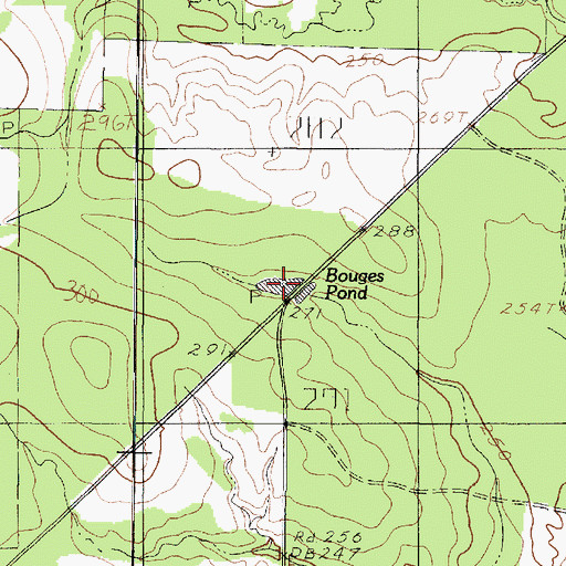 Topographic Map of Bouges Pond, TX