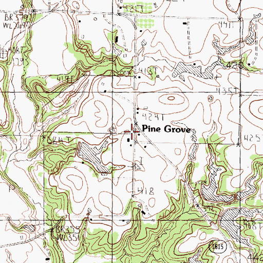 Topographic Map of Pine Grove, TX