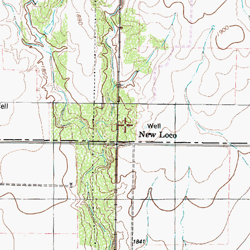 Topographic Map of New Loco, TX