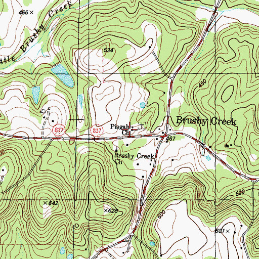 Topographic Map of Pigsah Church, TX