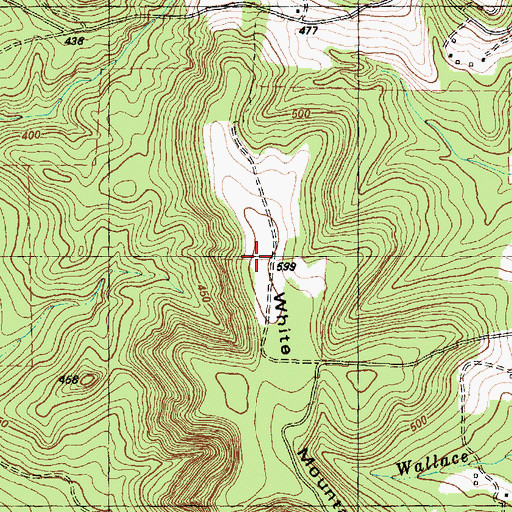 Topographic Map of White Mountain, TX