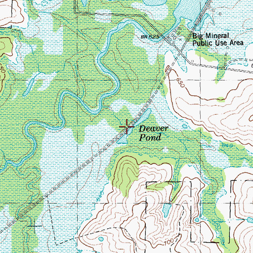 Topographic Map of Deaver Pond, TX