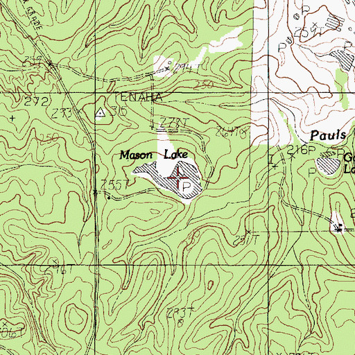 Topographic Map of Mason Lake, TX
