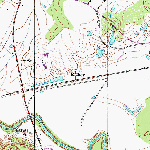 Topographic Map of Ricker (historical), TX