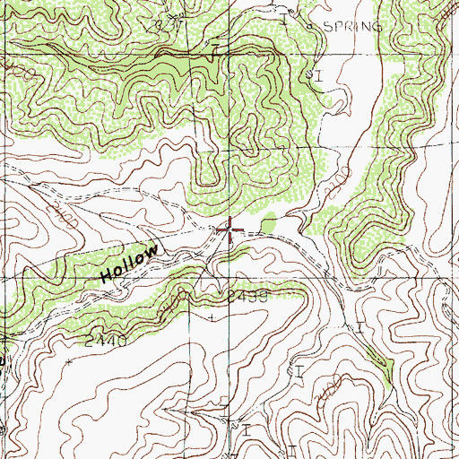 Topographic Map of Coffee Hollow, TX