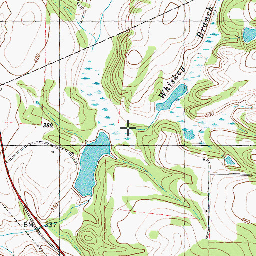 Topographic Map of Whiskey Branch, TX