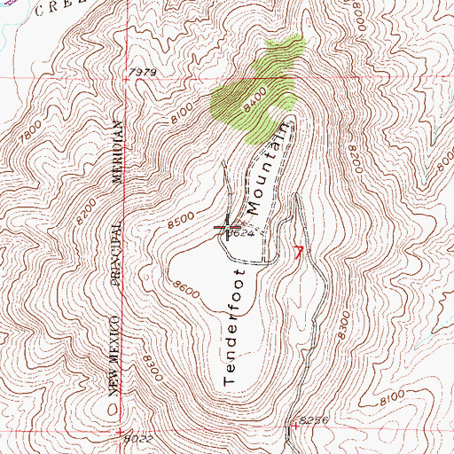 Topographic Map of Tenderfoot Mountain, CO
