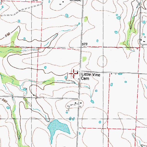 Topographic Map of Little Vine Cemetery, TX
