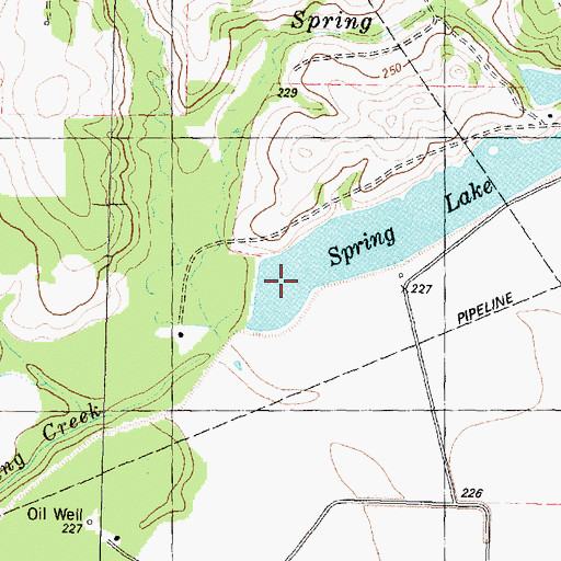 Topographic Map of Spring Lake, TX