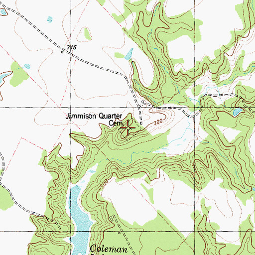 Topographic Map of Jimmison Quarter Cemetery, TX