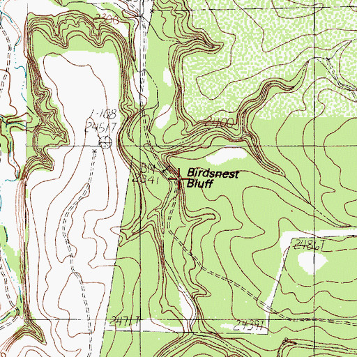 Topographic Map of Birdsnest Bluff, TX
