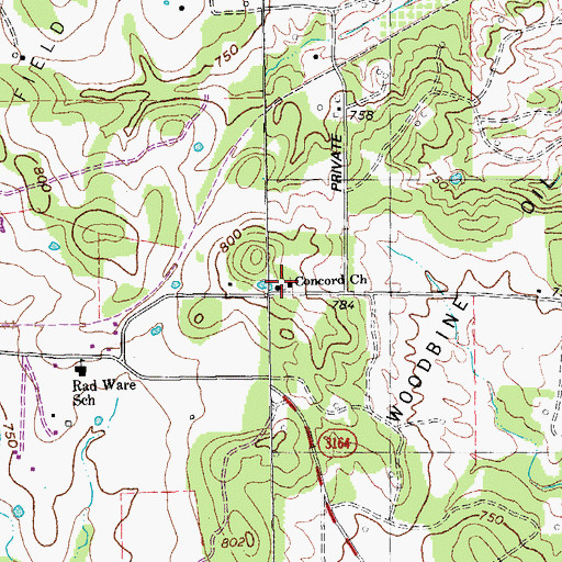 Topographic Map of Concord Church, TX