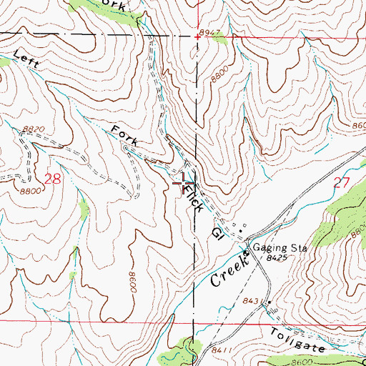 Topographic Map of Left Fork Flick Gulch, CO