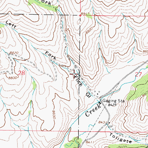 Topographic Map of Right Fork Flick Gulch, CO