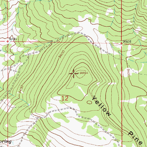 Topographic Map of Yellow Pine Ridge, CO