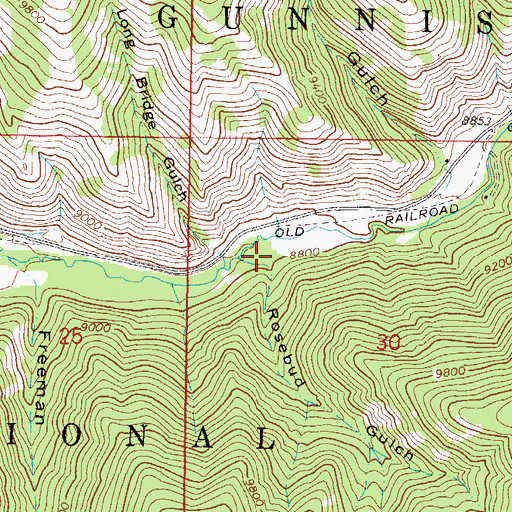 Topographic Map of Rosebud Gulch, CO
