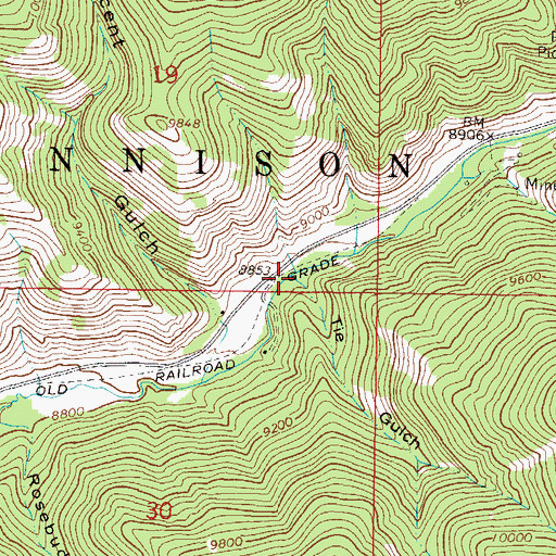 Topographic Map of Tie Gulch, CO