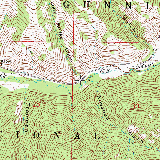 Topographic Map of Long Bridge Gulch, CO
